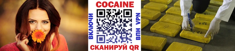 Кокаин FishScale  дарнет шоп  Ртищево 