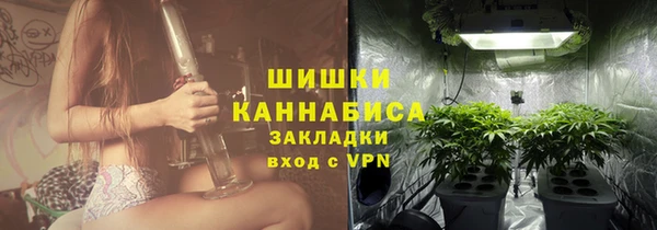 спайс Пересвет