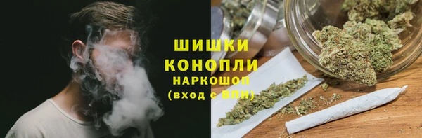 спайс Пересвет