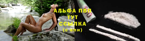 спайс Пересвет