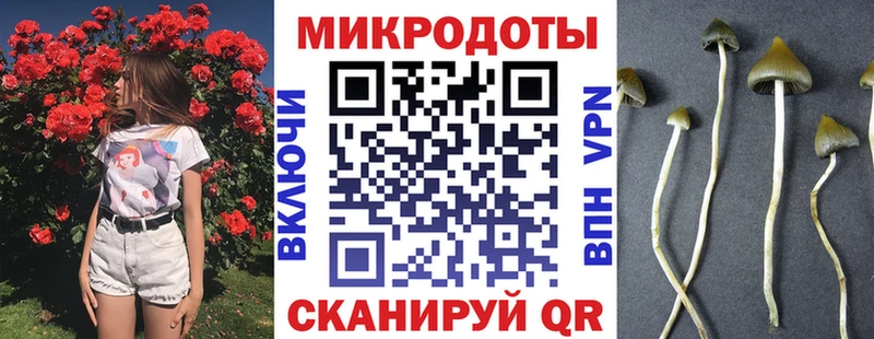 сайты даркнета состав  блэк спрут онион  Ртищево  Галлюциногенные грибы Cubensis 